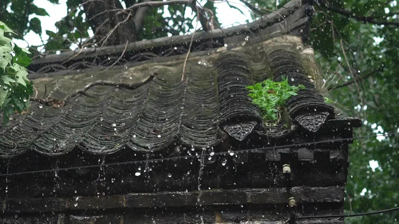 高温暴雨4.jpg
